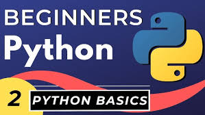 Python Basics for Beginners